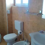 Apartment Marija Primosten