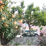 Apartment Marija Primosten