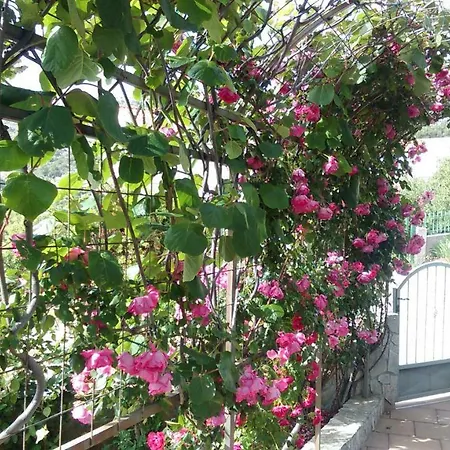 Marija Апартаменты