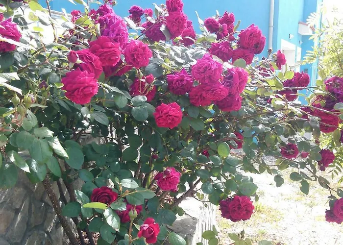 Marija Апартаменты