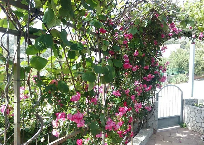 Marija Апартаменты